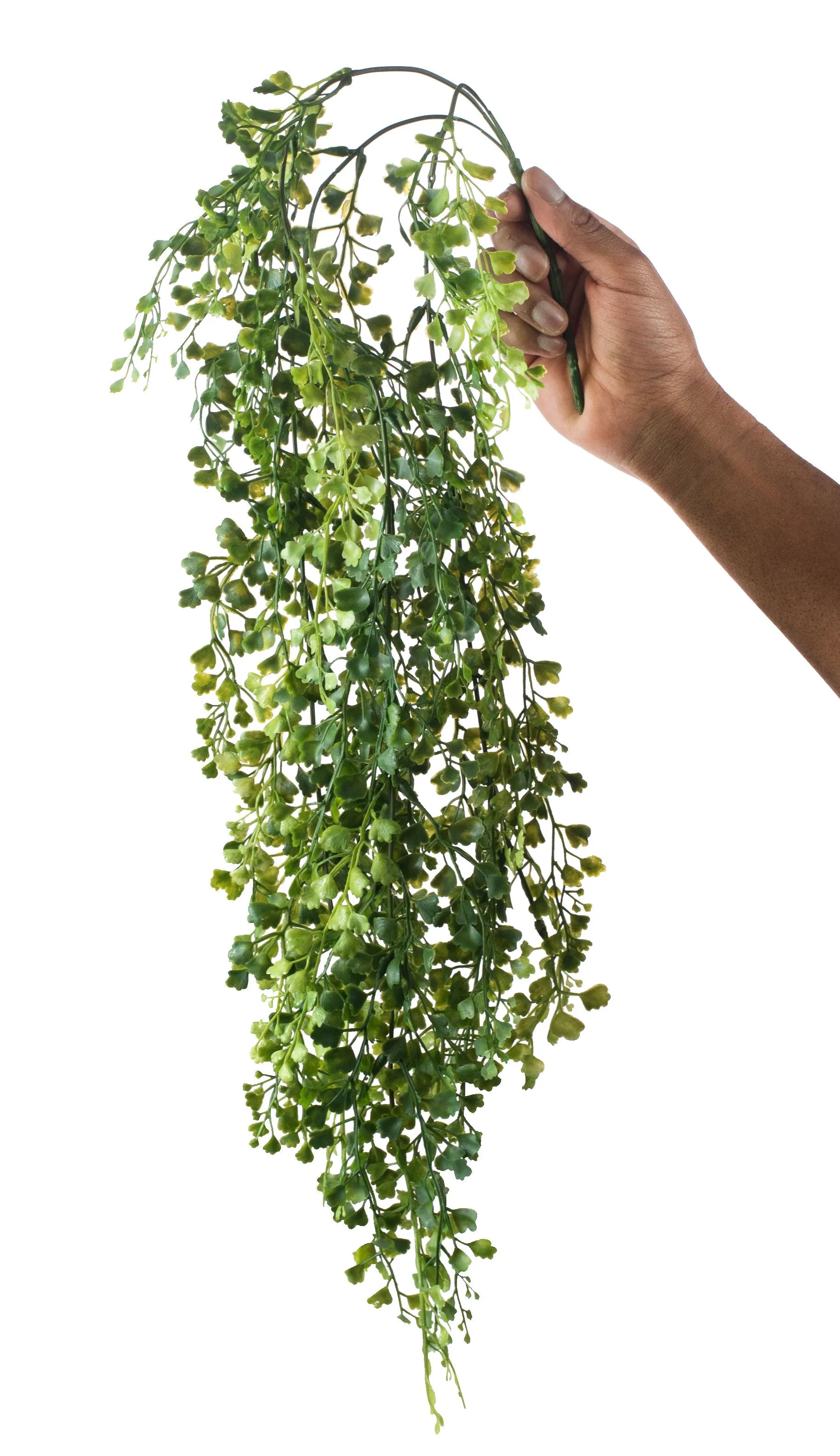 33" Maidenhair Hanging Spray