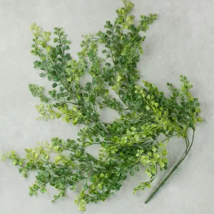 33" Maidenhair Hanging Spray