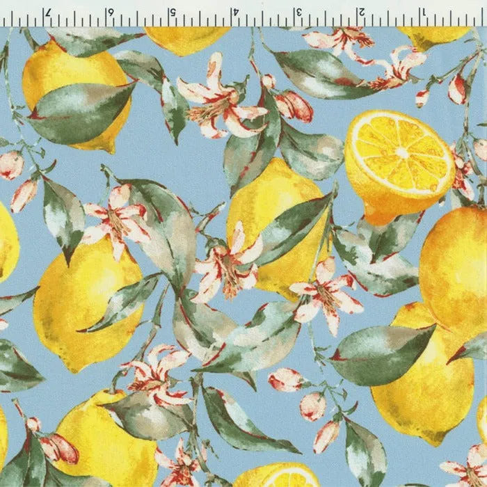 40414-1003 Lemon Tree Medium