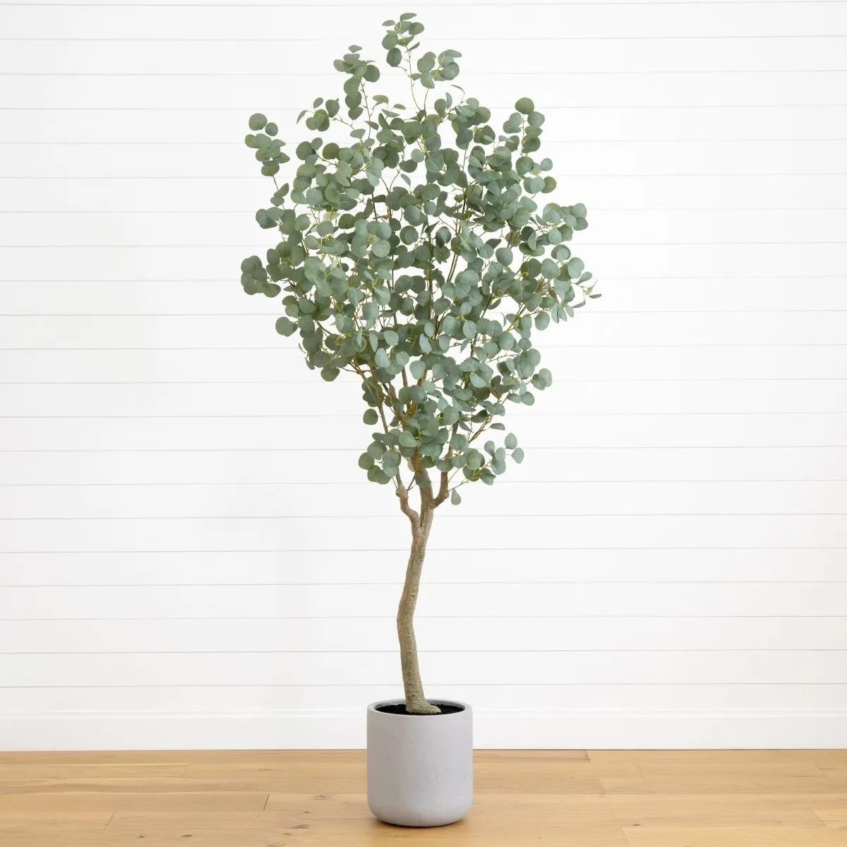 7.5' Faux Eucalyptus Tree | Realistic Indoor Greenery – Ed's Plant Shop