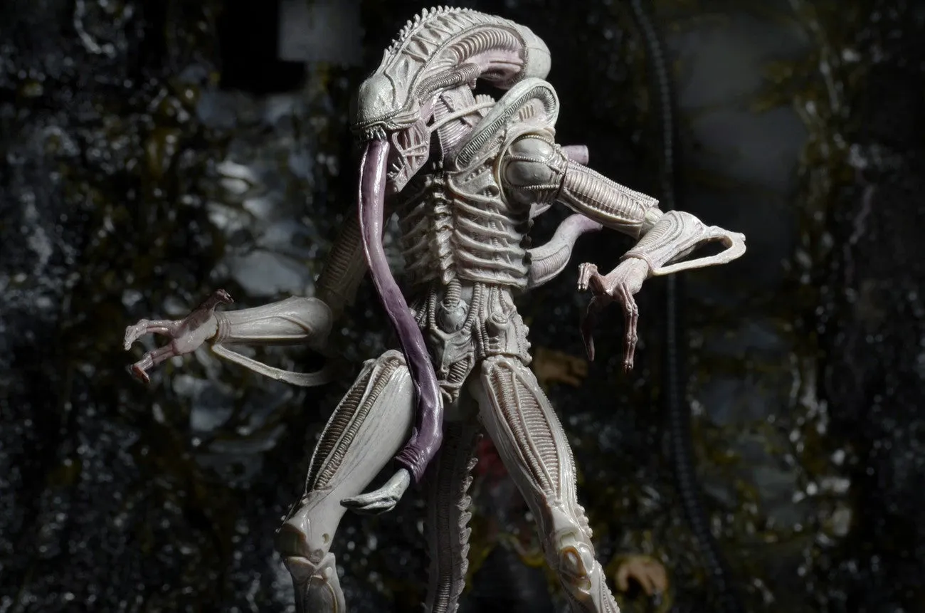 Aliens Series 9 - Albino Xenomorph figure