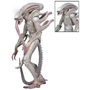 Aliens Series 9 - Albino Xenomorph figure