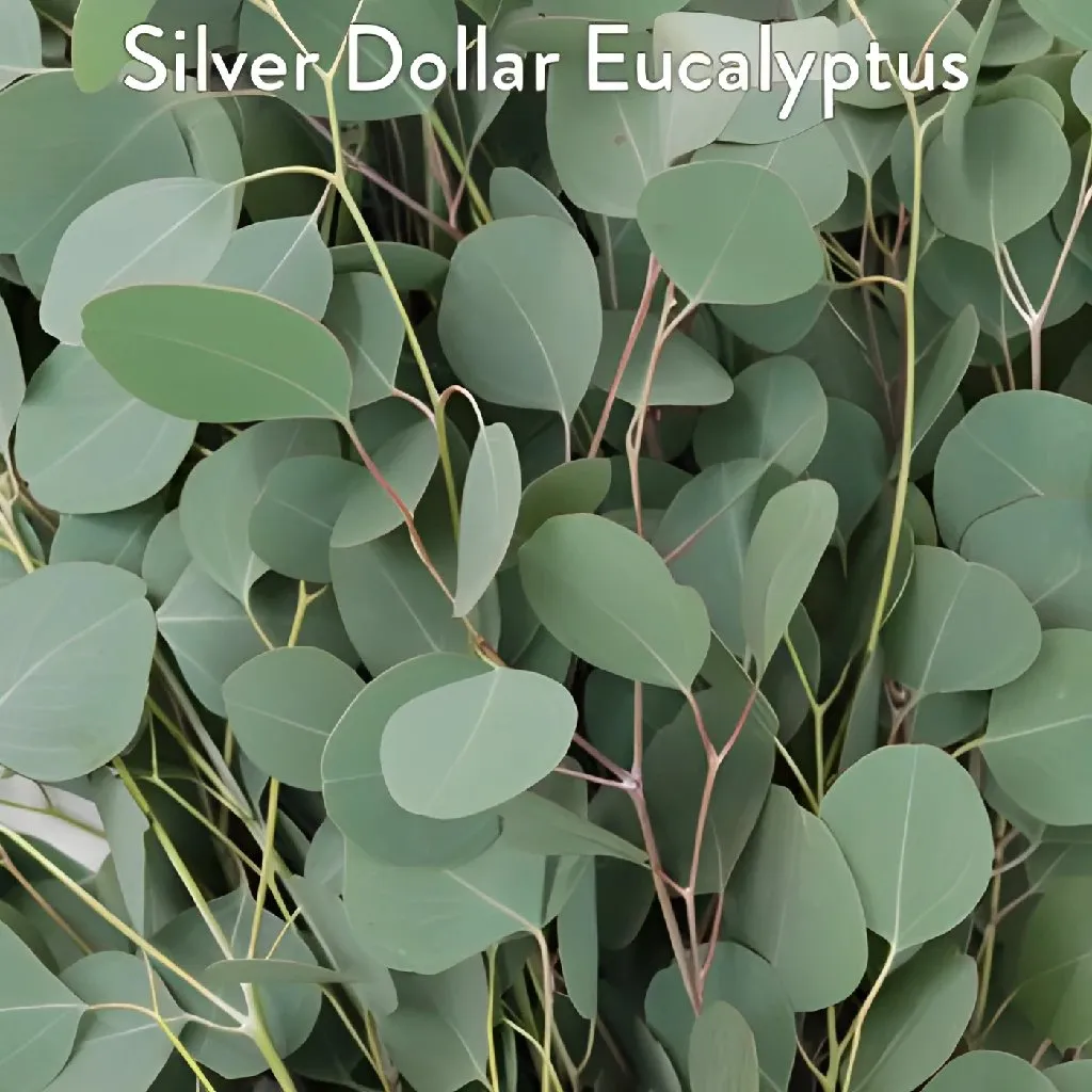 Eucalyptus and Fresh Flower DIY Combo Kit