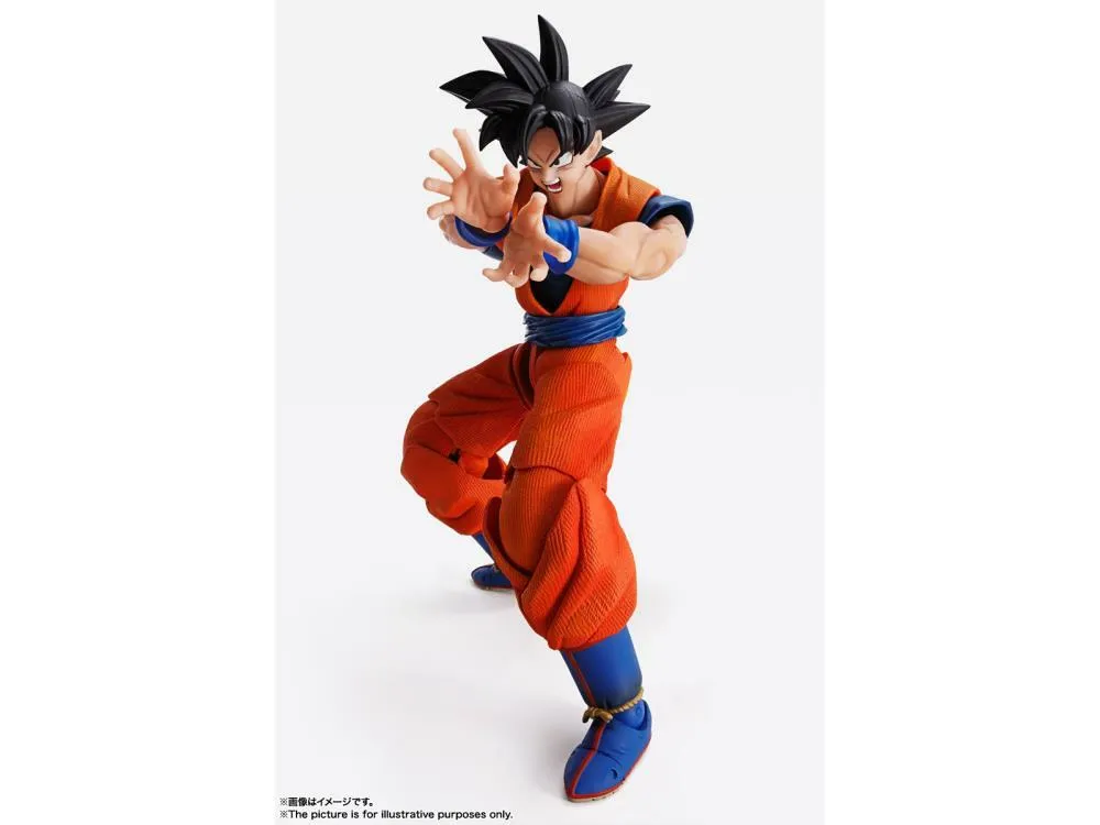 Imaginations Works - Dragon Ball Z - Son Goku