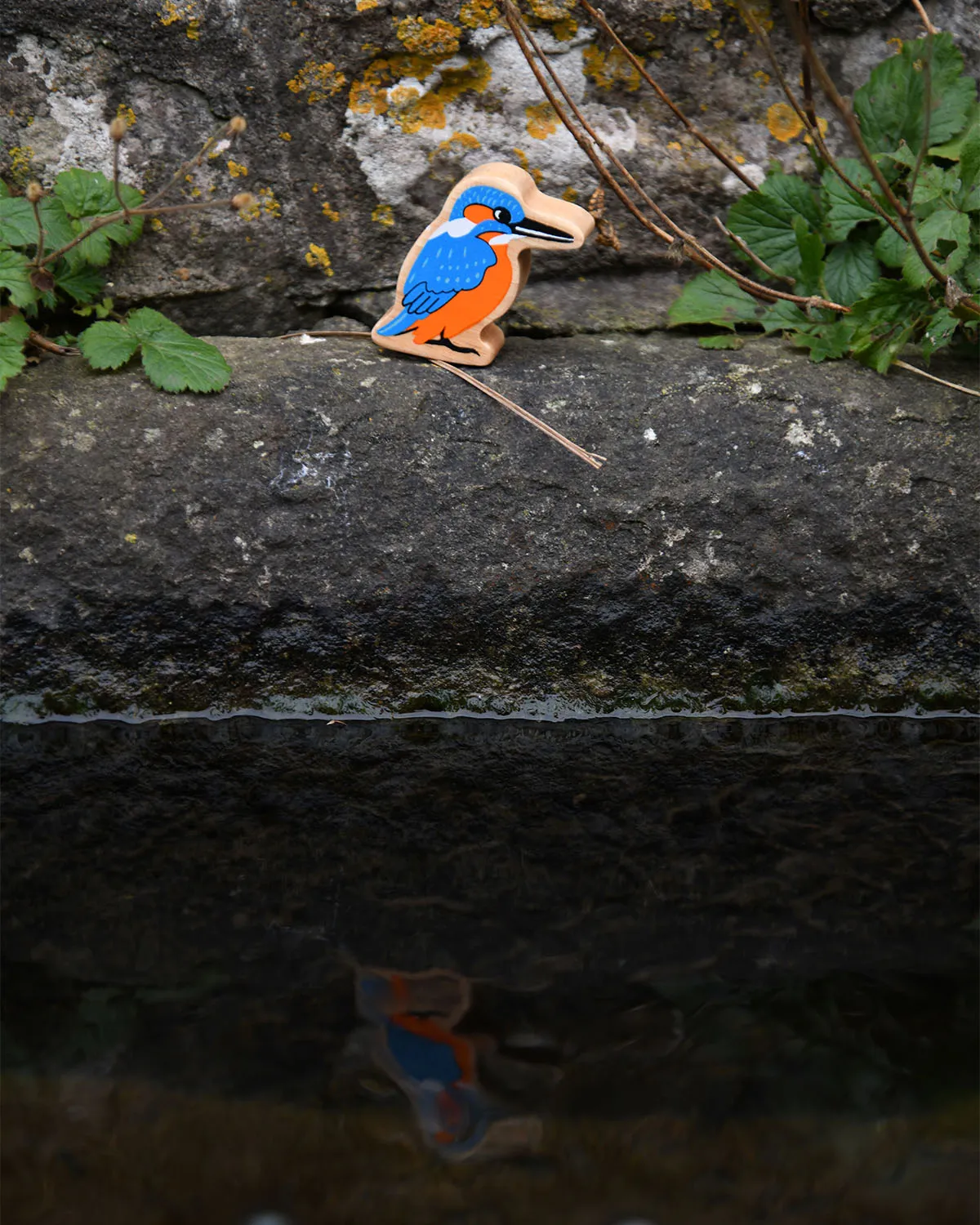 Lanka Kade Kingfisher