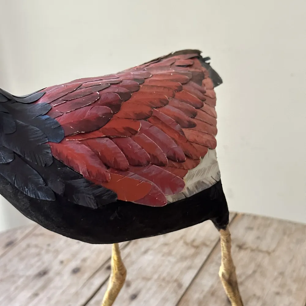 Papier-Mâché Jacana (#8)