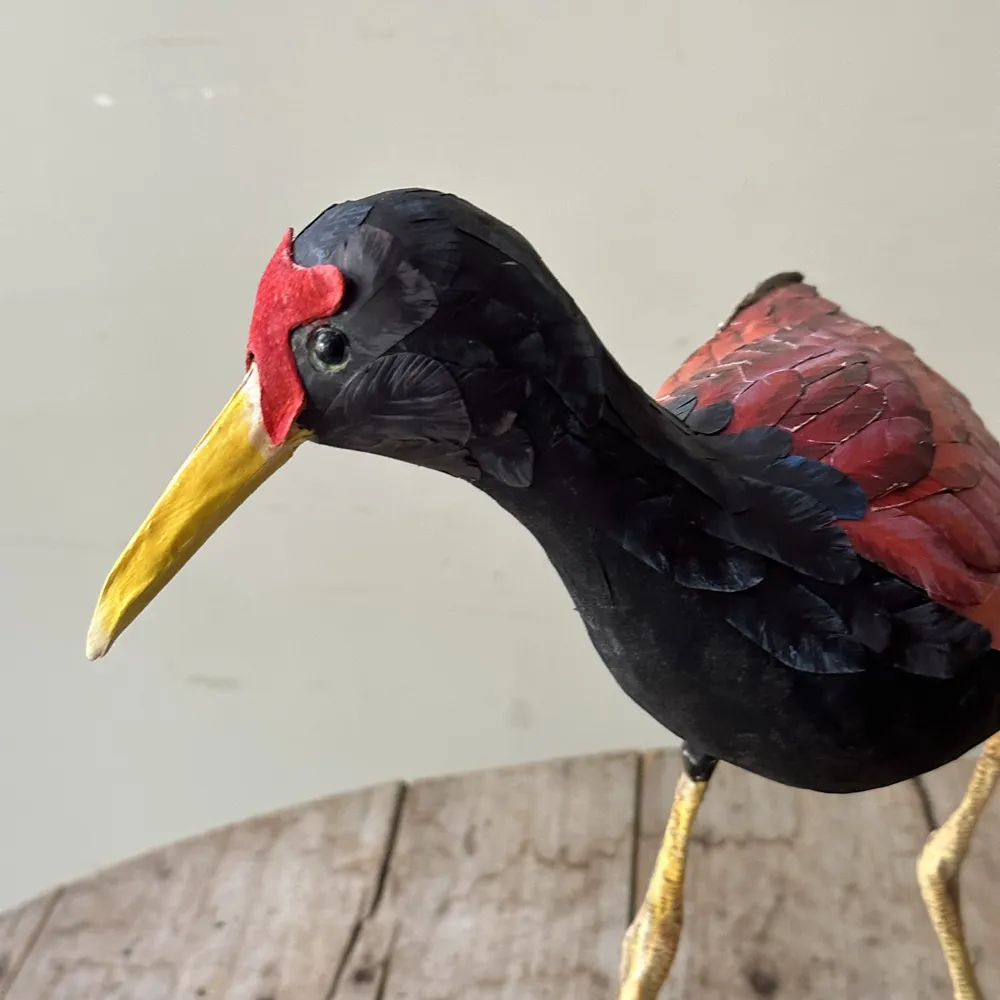 Papier-Mâché Jacana (#8)