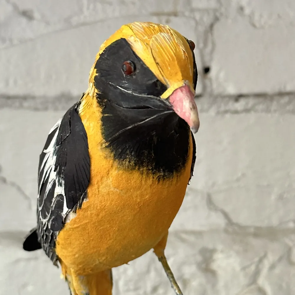 Papier-Mâché Oriole on Branch