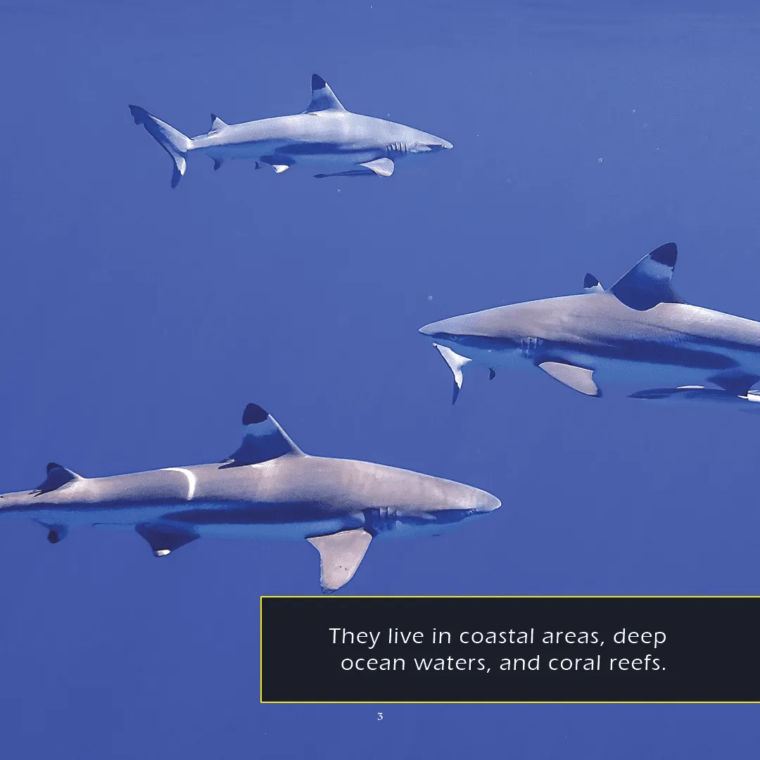 Sharks! A My Incredible World Picture Book for Children